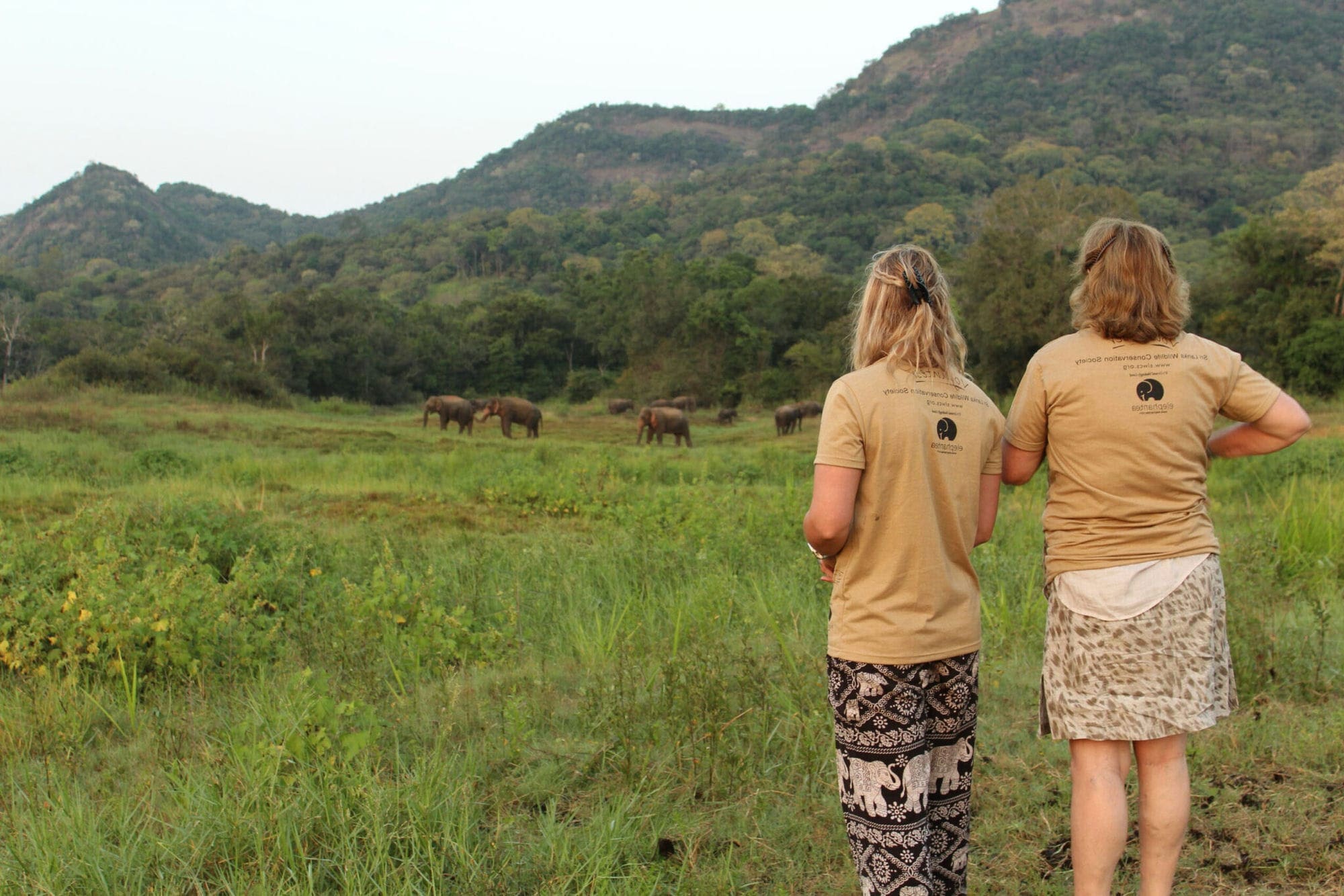 Wildlife Animal conservation Projects Abroad | Volunteer with Animals