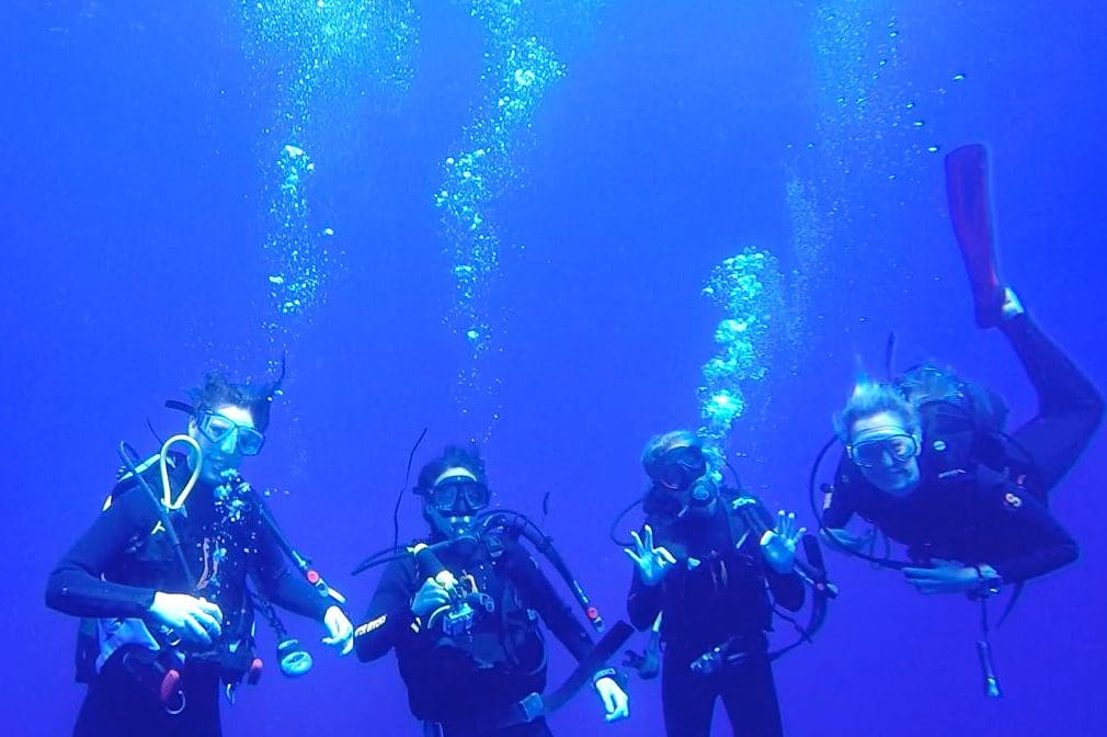 Diving on the marine conservation internship