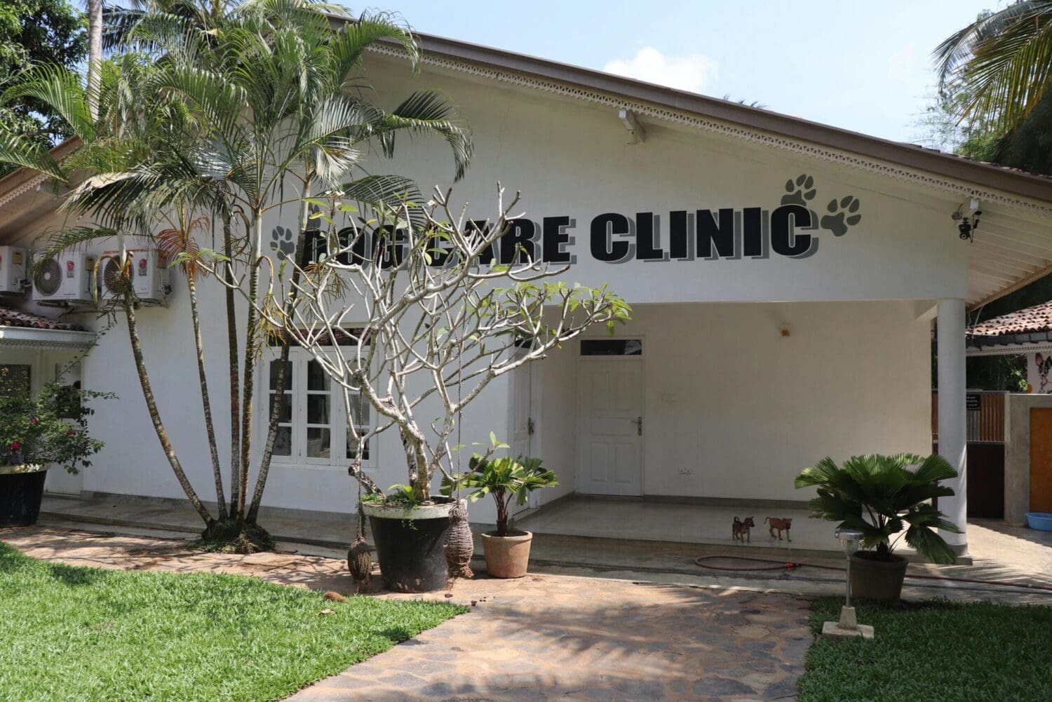 Dog Care Clinic in Sri Lanka