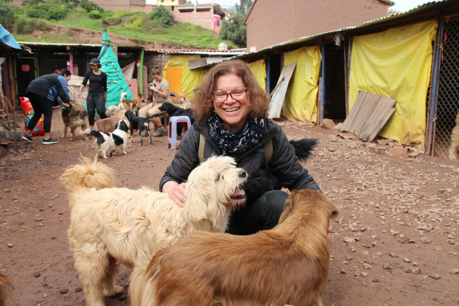 Dog shelter volunteer in Nepal