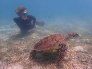 Marine Conservation project in Maldives