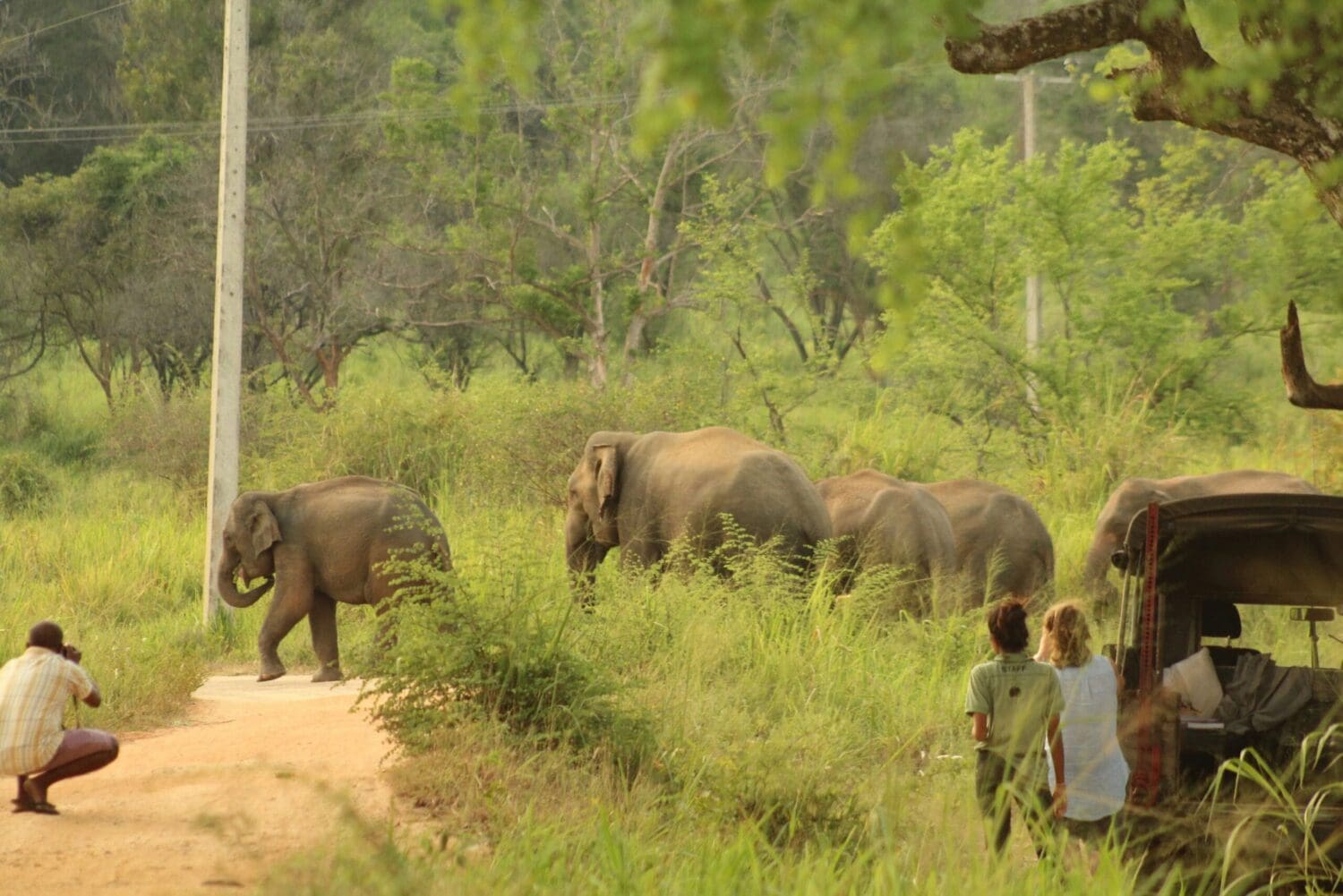 Sri Lanka Wildlife Conservation Project Volunteers