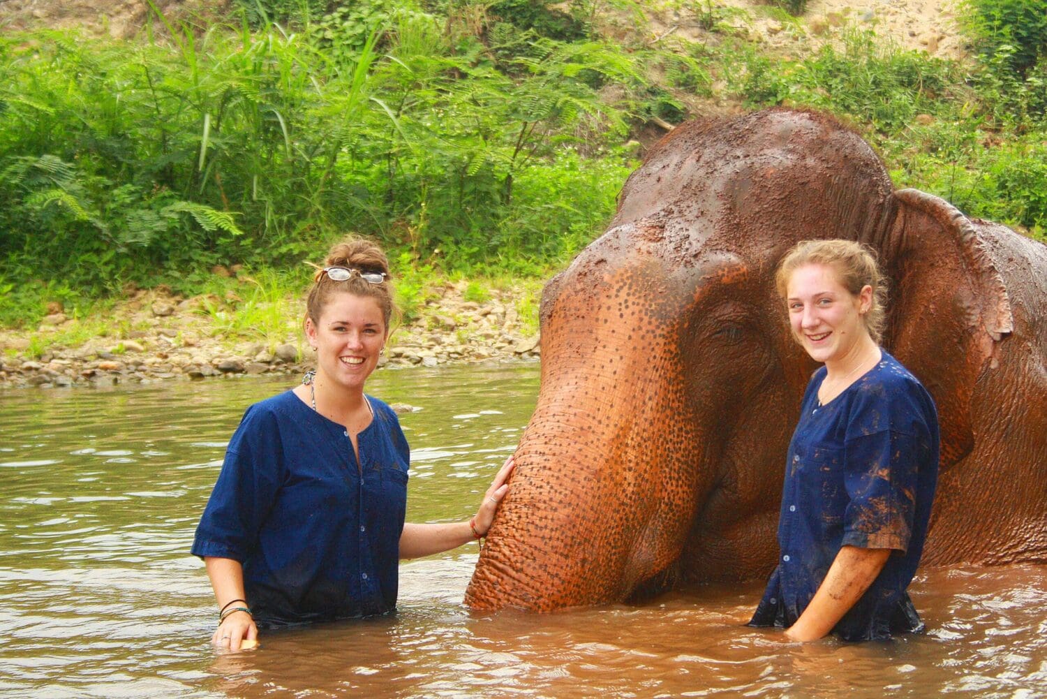 Thailand Elephant Volunteers
