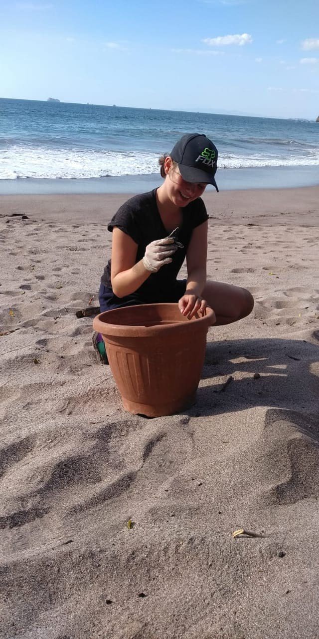 Volunteer on the Costa Rica Sea Turtle Project