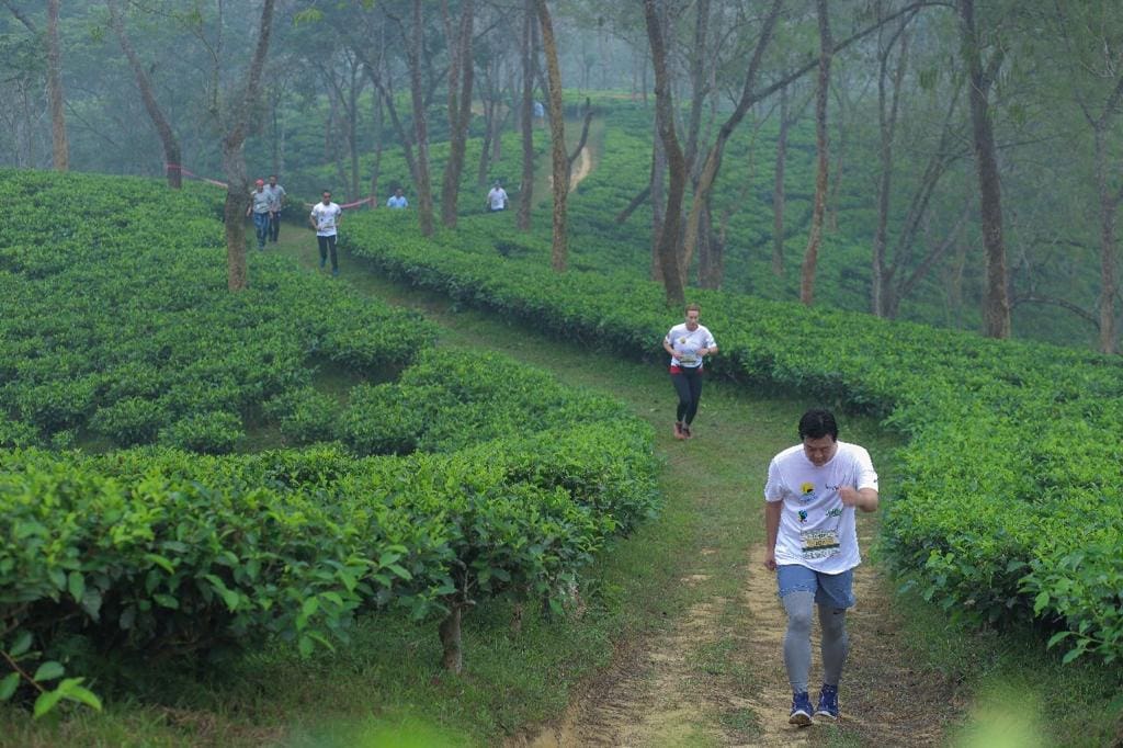 Volunteers after a days work at Jalinga Tea Estate India
