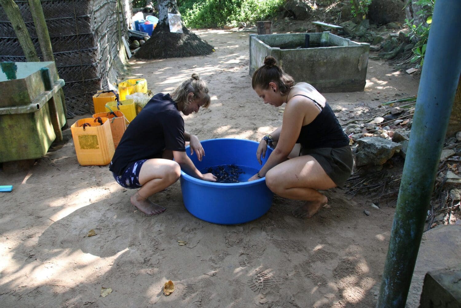 Volunteers at the sea turtle conservation program