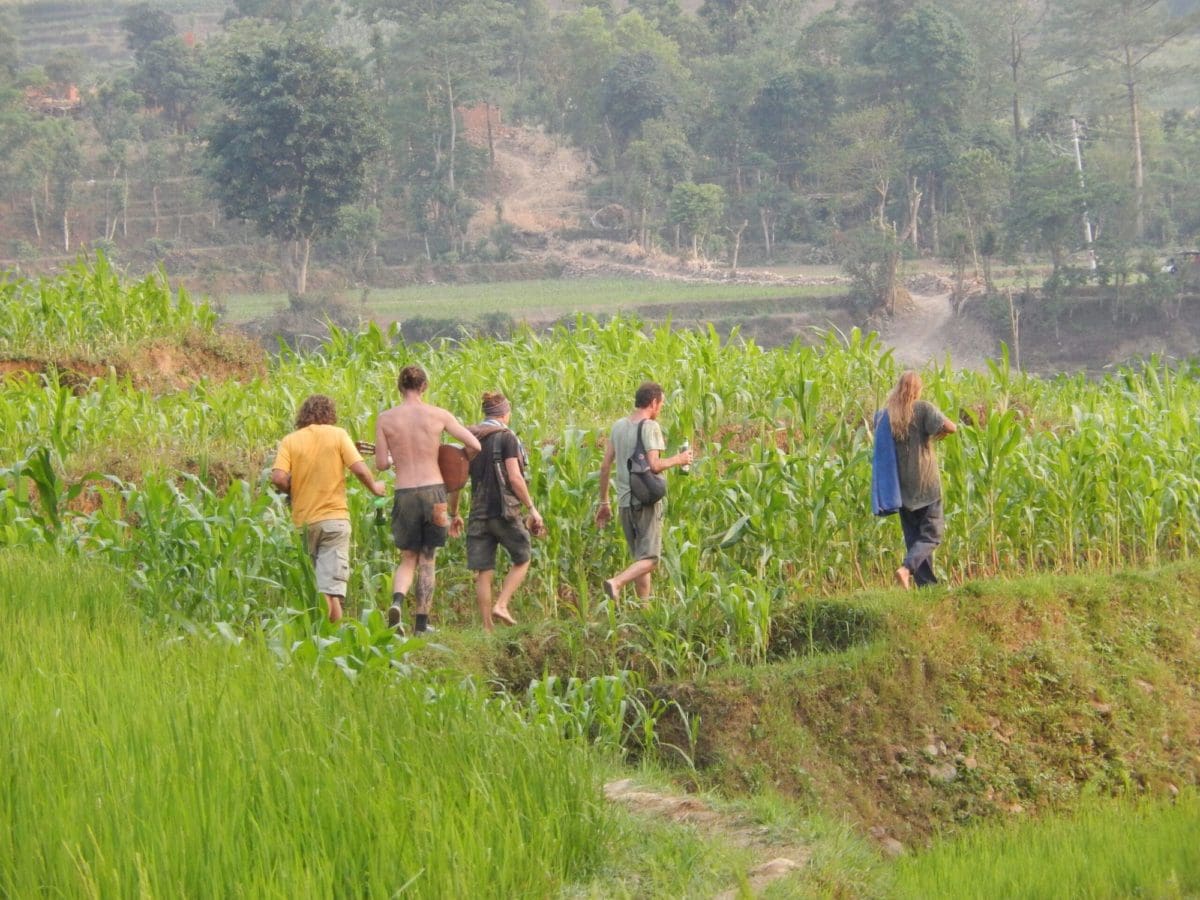 Volunteers in India at organic farm site