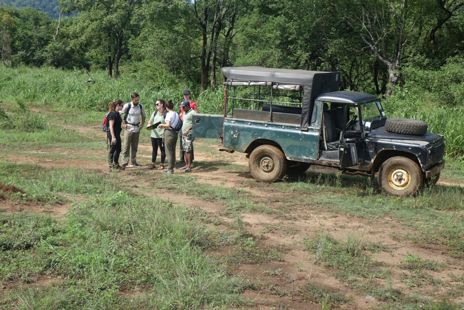 Volunteers in field on the Wild Animal Conservation project