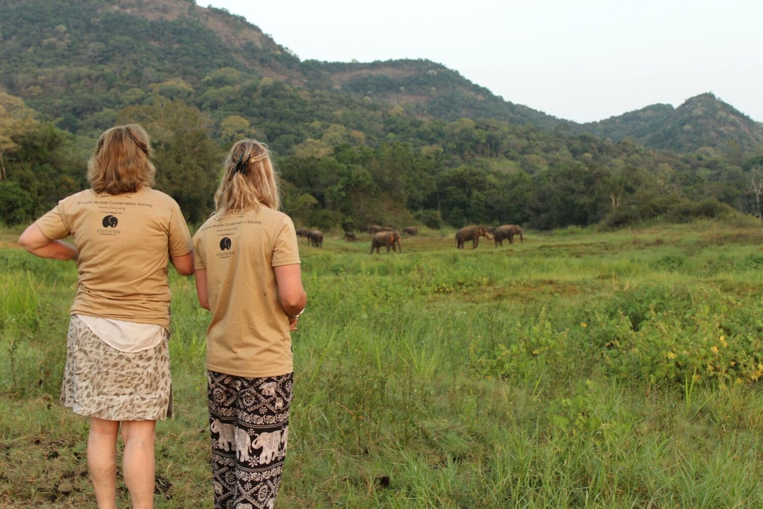 Volunteers monitoring on the Elephant Conservation project