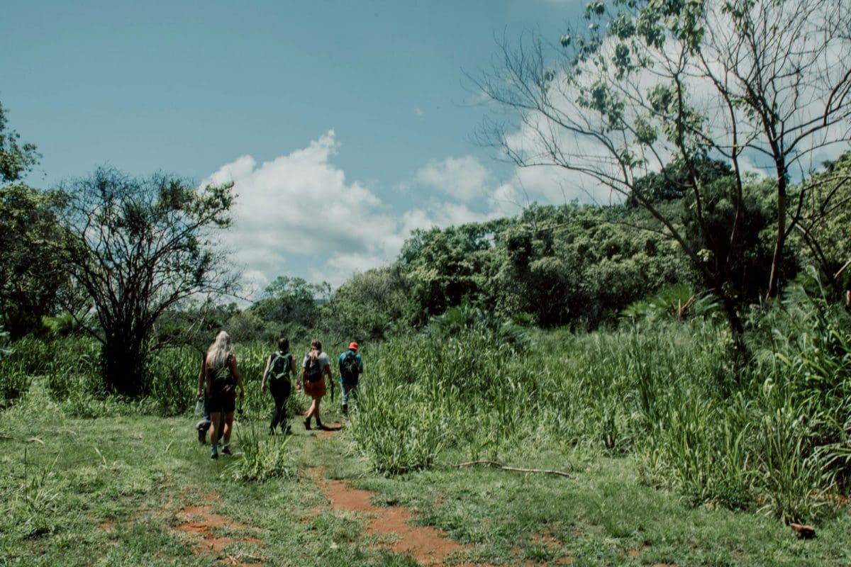 Wild Elephant Conservation volunteers walking in field