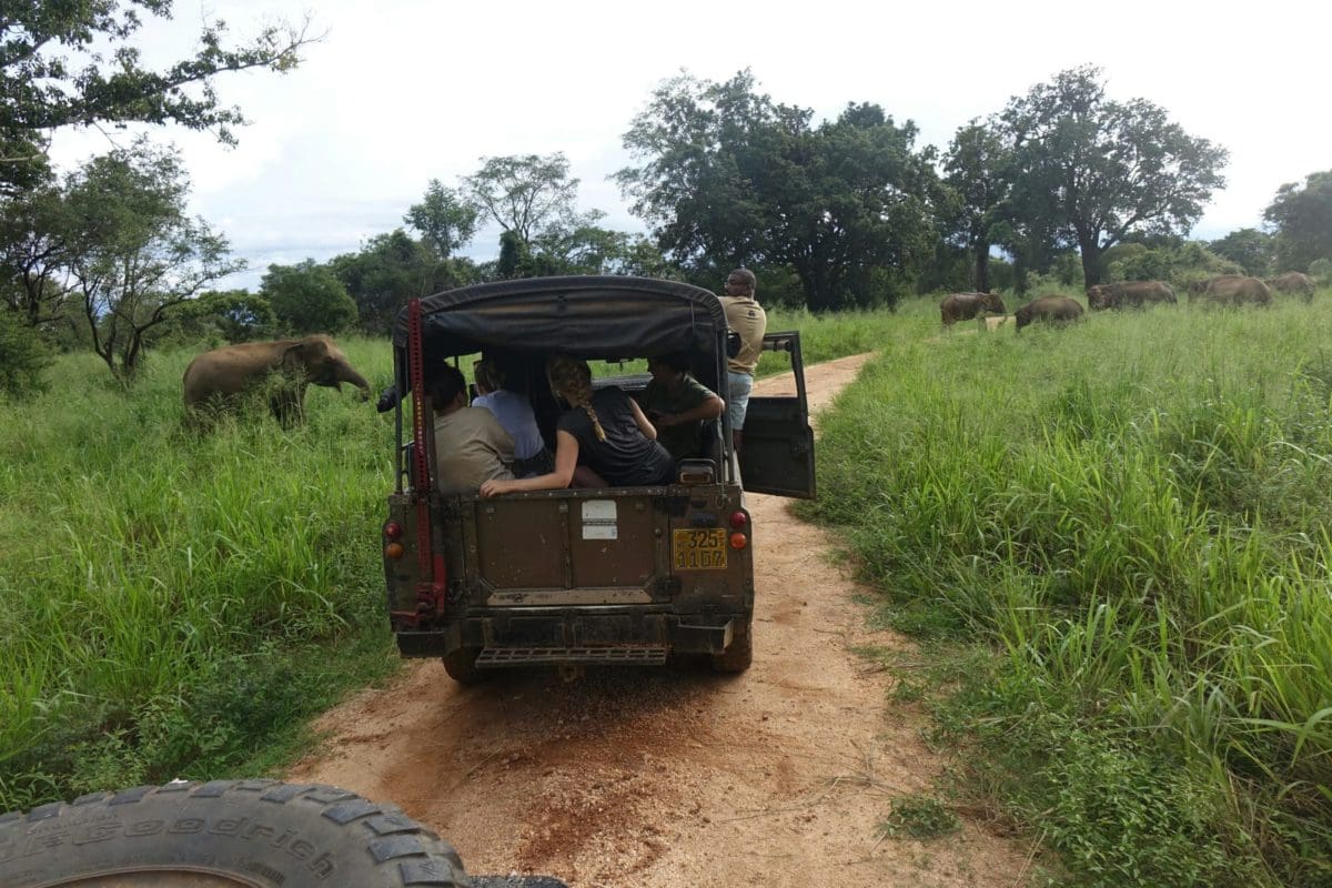 Going out into field in the jeep