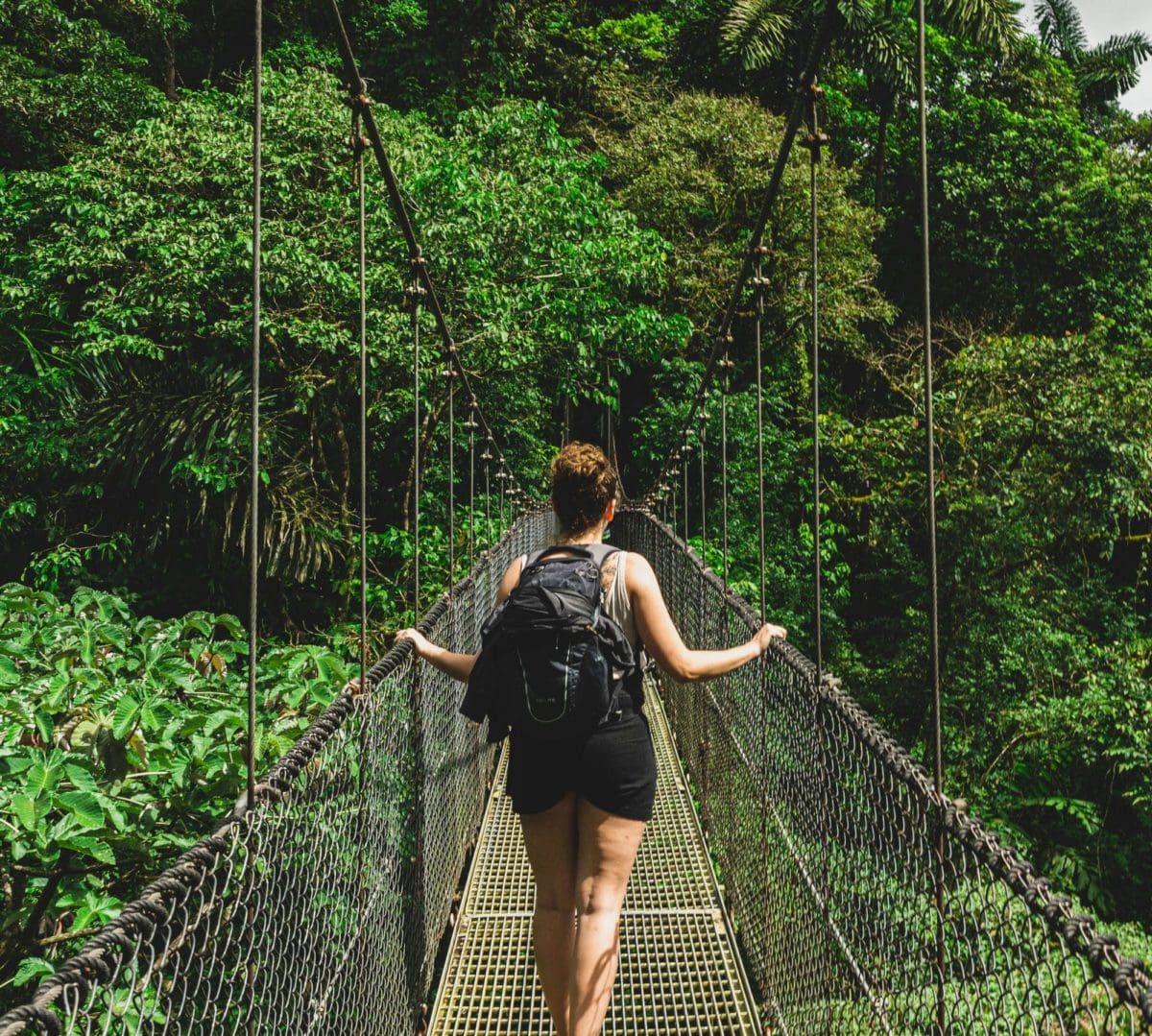Monteverde Rainforest Costa Rica