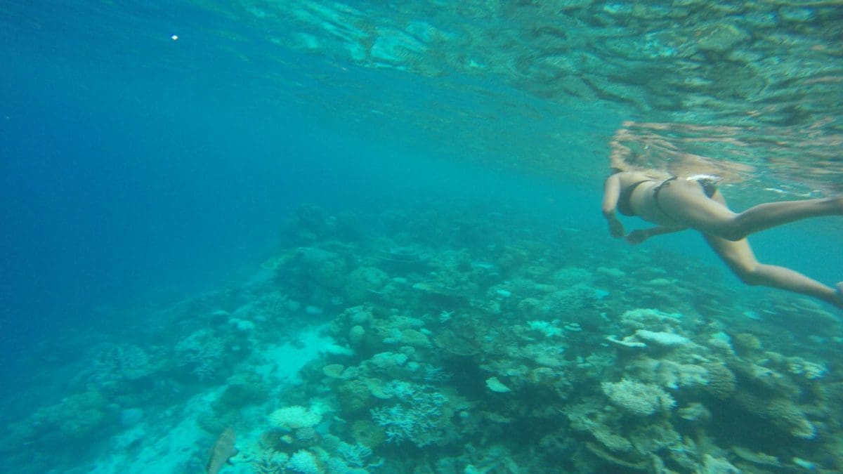 Snorkelling in Maldives
