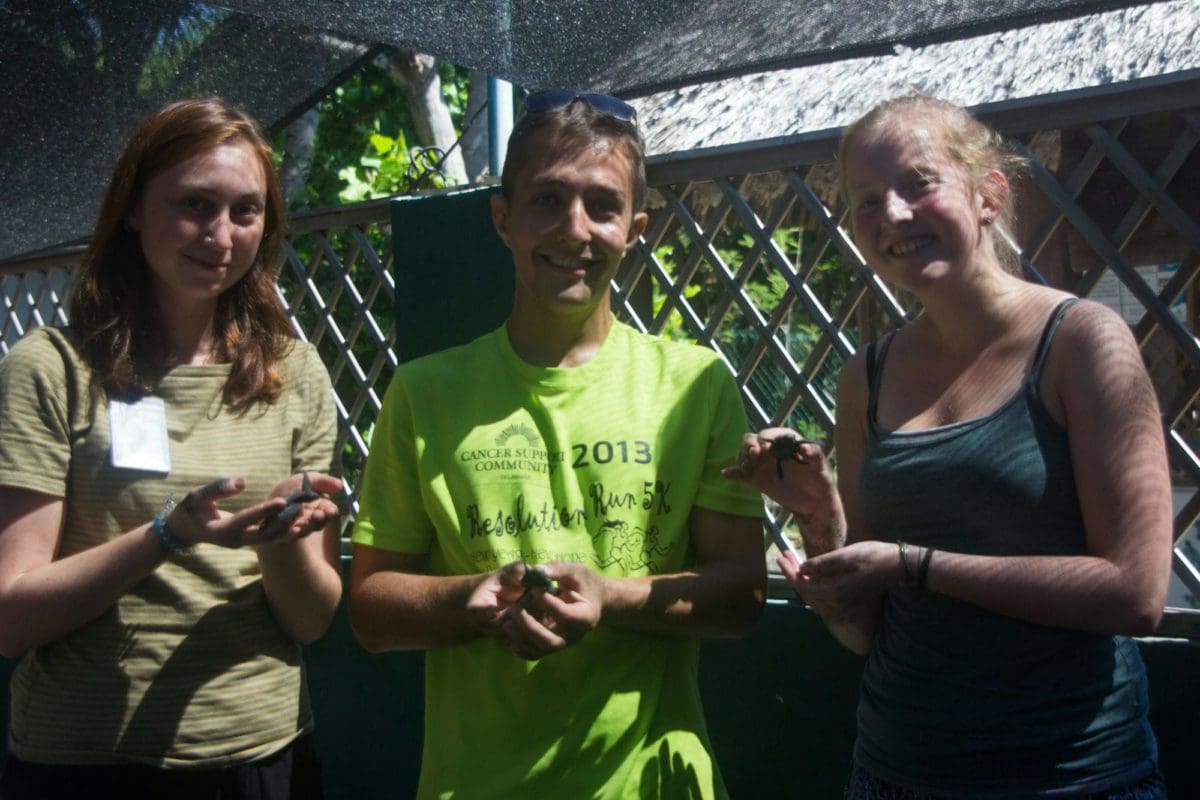 Volunteer in Costa Rica with Sea Turtles