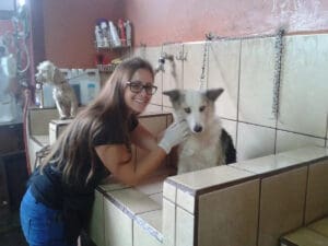Dog Care Volunteer in Costa Rica