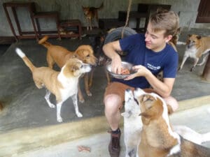 Dog care Volunteer in Nepal